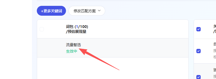 关键词设置选择 流量智选 其他不选.png 关键词设置选择 流量智选 其他不选.png