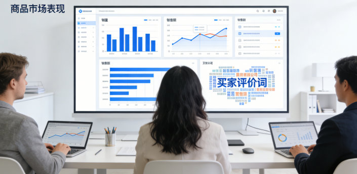 比如商品卖了多少件、总共卖了多少钱，还有买家的评价之类的